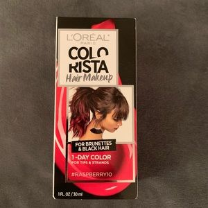 🆕 L’Oréal Paris Colorista Pink Hair Makeup